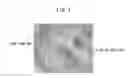 Fig. 02 - Hydrogen Storage Material and Method for Producing the Same
