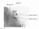Fig. 07 - Hydrogen Storage Material and Method for Producing the Same