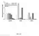 Fig. 02 - Method to improve phosphate solubilization in plants