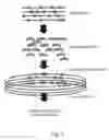 Fig. 02 - OLIGONUCLEOTIDE MEDIATED NUCLEIC ACID RECOMBINATION