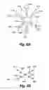 Fig. 06 - PREPARING CARBOHYDRATE MICROARRAYS AND CONJUGATED NANOPARTICLES