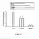 Fig. 08 - COMPOSITION FOR THE TREATMENT OF OSTEOMYELITIS, METHOD FOR PREPARING THE SAME, AND METHOD FOR THE TREATMENT OF OSTEOMYELITIS