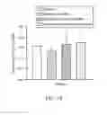 Fig. 09 - COMPOSITION FOR THE TREATMENT OF OSTEOMYELITIS, METHOD FOR PREPARING THE SAME, AND METHOD FOR THE TREATMENT OF OSTEOMYELITIS