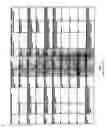 Fig. 64 - Methods and compositions for the treatment of heart failure and other disorders