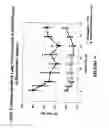 Fig. 05 - Method of treating dyspnea associated with acute heart failure