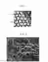 Fig. 02 - Method of Use of Bioactive Materials