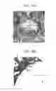 Fig. 09 - Method of Use of Bioactive Materials