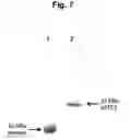 Fig. 08 - Methods of preventing or treating brain diseases