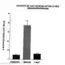 Fig. 01 - METHODS AND COMPOSITIONS FOR TREATING DIABETES