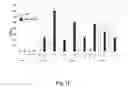 Fig. 12 - SMALL MOLECULE IMMUNOMODULATORS FOR ALZHEIMER'S DISEASE