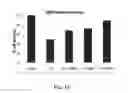 Fig. 13 - SMALL MOLECULE IMMUNOMODULATORS FOR ALZHEIMER'S DISEASE