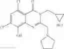 Fig. 101 - Quinazolinone compounds