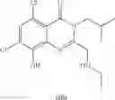 Fig. 110 - Quinazolinone compounds