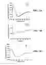 Fig. 13 - Oligooxopiperazines and methods of making and using them