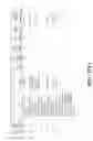 Fig. 70 - Oligooxopiperazines and methods of making and using them
