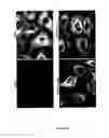 Fig. 09 - Pyridocarbazole type compounds and applications thereof