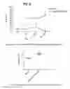 Fig. 04 - Method of activating regulatory T cells with alpha-2B adrenergic receptor agonists