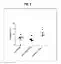 Fig. 08 - Method of activating regulatory T cells with alpha-2B adrenergic receptor agonists
