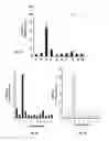 Fig. 32 - Non-steroidal compounds for androgen receptor modulation