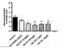 Fig. 01 - Injectable Pharmaceutical Composition for Preventing, Stabilizing and/or Inhibiting Pathological Neovascularization-Related Conditions