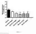Fig. 02 - Injectable Pharmaceutical Composition for Preventing, Stabilizing and/or Inhibiting Pathological Neovascularization-Related Conditions