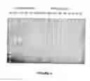 Fig. 05 - Antisense oligonucleotides for inducing exon skipping and methods of use thereof