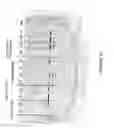 Fig. 16 - Antisense oligonucleotides for inducing exon skipping and methods of use thereof