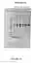 Fig. 22 - Antisense oligonucleotides for inducing exon skipping and methods of use thereof