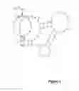 Fig. 02 - NUCLEIC ACIDS SPECIFICALLY BINDING WITH HUMAN FACTOR VII/VIIA AND USES THEREOF