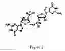 Fig. 02 - Synthesis and characterization of C8 analogs of c-di-GMP