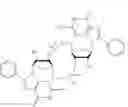 Fig. 08 - Synthesis and characterization of C8 analogs of c-di-GMP