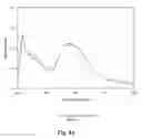 Fig. 10 - Bioactive compositions from plants and processes for their production and use
