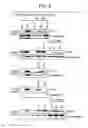 Fig. 04 - Methods of Inducing Terminal Differentiation