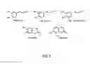 Fig. 08 - Method of improving stability of sweet enhancer and composition containing stabilized sweet enhancer