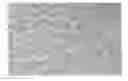 Fig. 01 - Expandable composite resin particles for long-term storage, pre-expanded particles formed therefrom and expanded molded articles