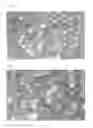 Fig. 03 - Expandable composite resin particles for long-term storage, pre-expanded particles formed therefrom and expanded molded articles