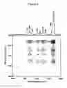 Fig. 03 - Molecular miscible blend solution of aromatic polyamide and non-crystalline polymer, method for preparing the same, aromatic polyamide blend fiber using the same and method for dying the same