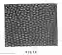 Fig. 02 - Method for manufacturing porous structure and method for forming pattern