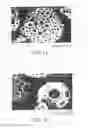 Fig. 09 - Method for manufacturing porous structure and method for forming pattern