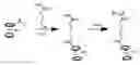 Fig. 01 - Preparation of cobaltocenium-containing monomers and their polymers