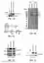 Fig. 02 - NOVEL AUTOGRAPHY REGULATORS ATG14L AND RUBICON