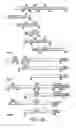 Fig. 03 - NOVEL AUTOGRAPHY REGULATORS ATG14L AND RUBICON