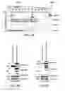 Fig. 06 - NOVEL AUTOGRAPHY REGULATORS ATG14L AND RUBICON