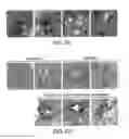 Fig. 15 - NOVEL AUTOGRAPHY REGULATORS ATG14L AND RUBICON