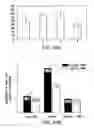 Fig. 32 - NOVEL AUTOGRAPHY REGULATORS ATG14L AND RUBICON