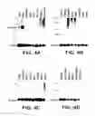 Fig. 06 - UCP4