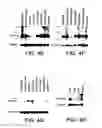 Fig. 07 - UCP4