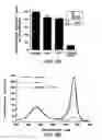 Fig. 08 - UCP4