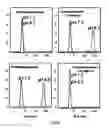 Fig. 08 - Method of producing polymers of spider silk proteins