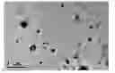 Fig. 01 - Coenzyme Q10 nanoparticles, preparation method thereof and composition containing said nanoparticles